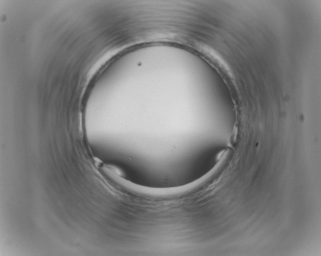 X0000070361324200607072053