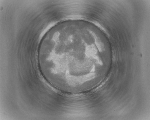 X0000070361325200607072053