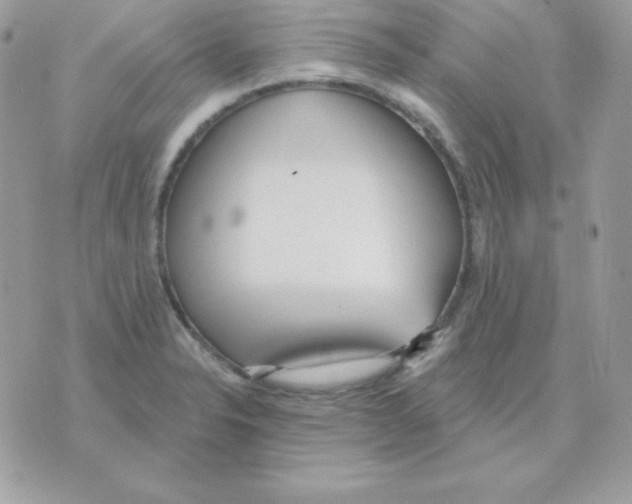 X0000070361326200607072053