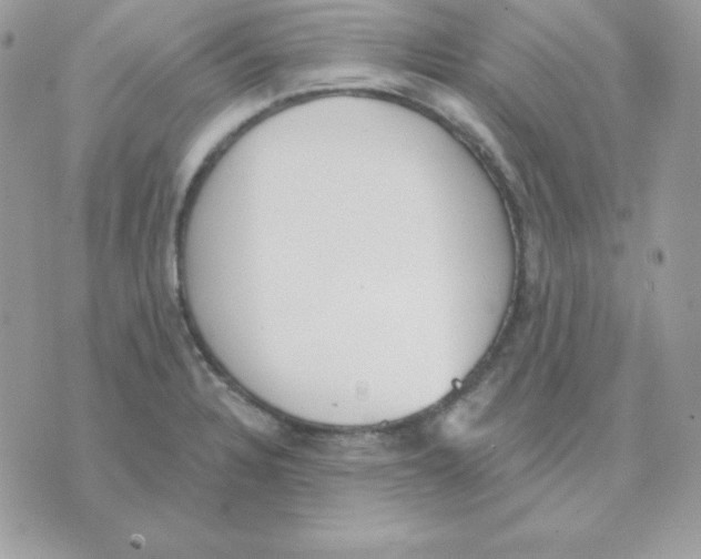 X0000070361328200607072053