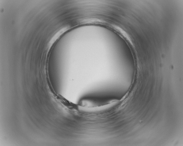 X0000070361330200607072053