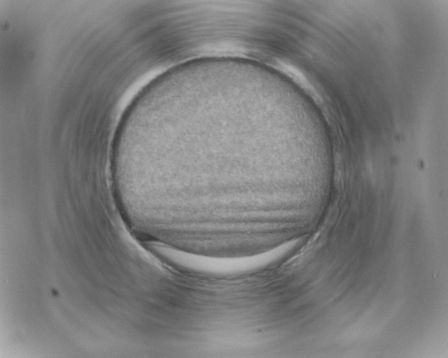 X0000070361331200607072053