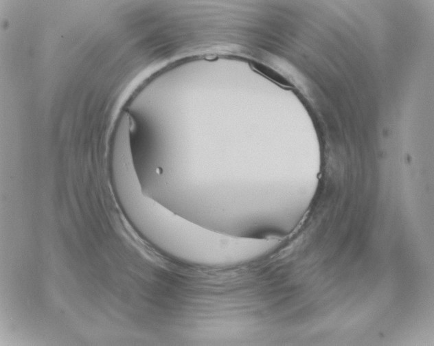 X0000070361332200607072053