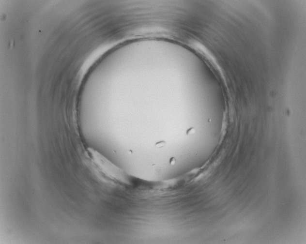 X0000070361336200607072053