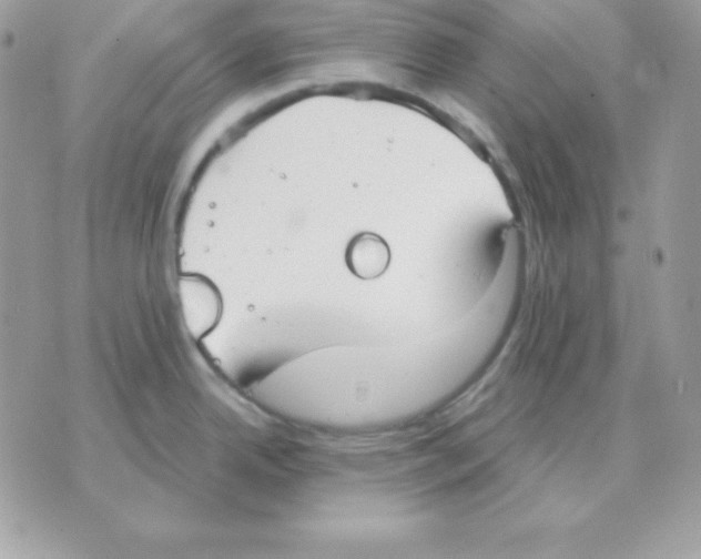 X0000070361342200607072054