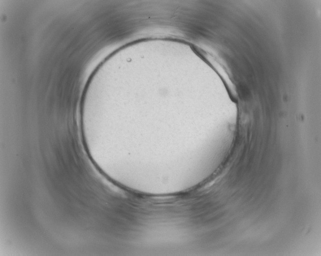 X0000070361343200607072054