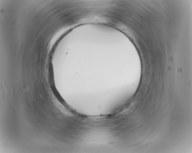 X0000070361344200607072054