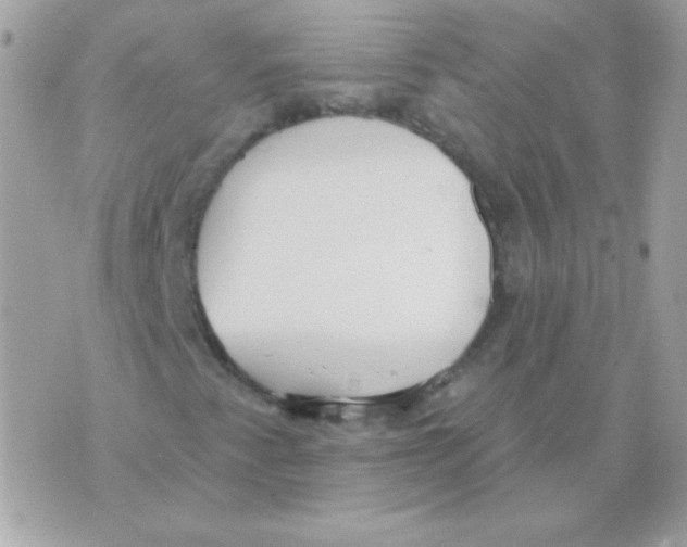 X0000070361345200607072053