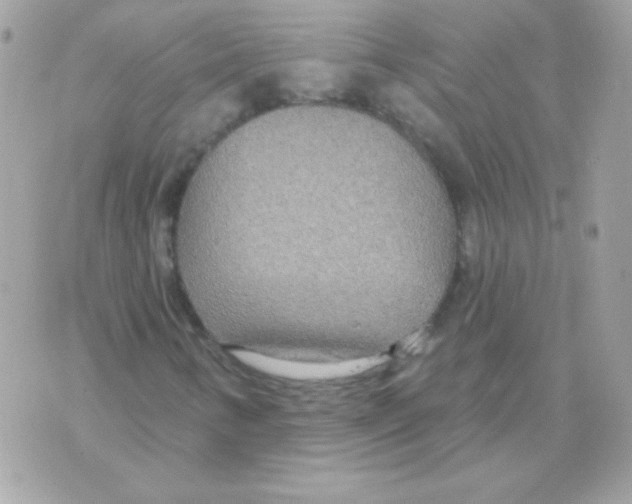 X0000070361346200607072053