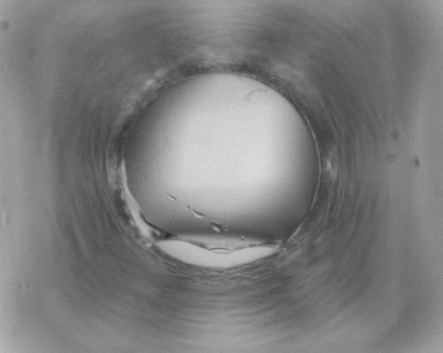 X0000070361348200607072053