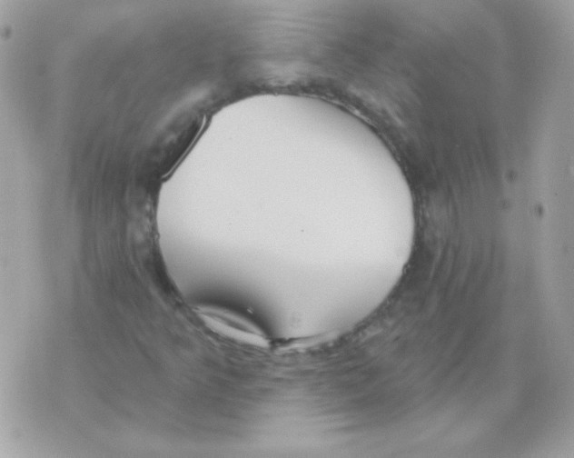 X0000070361349200607072053