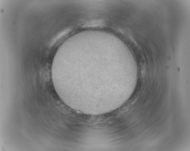 X0000070361350200607072053