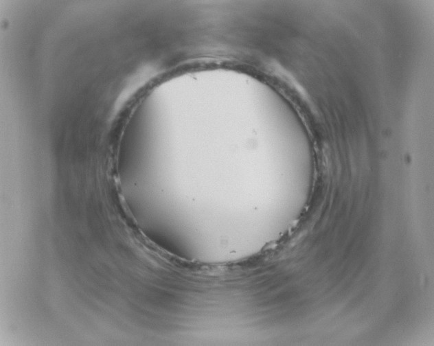 X0000070361352200607072053