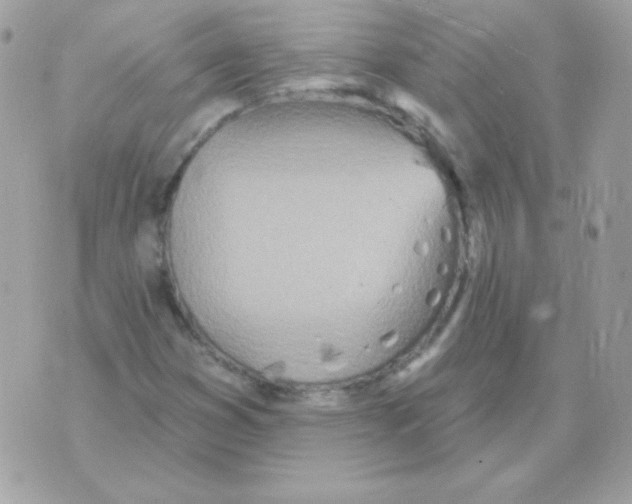 X0000070361353200607072053