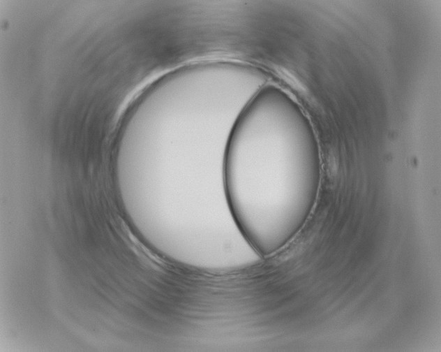 X0000070361356200607072053