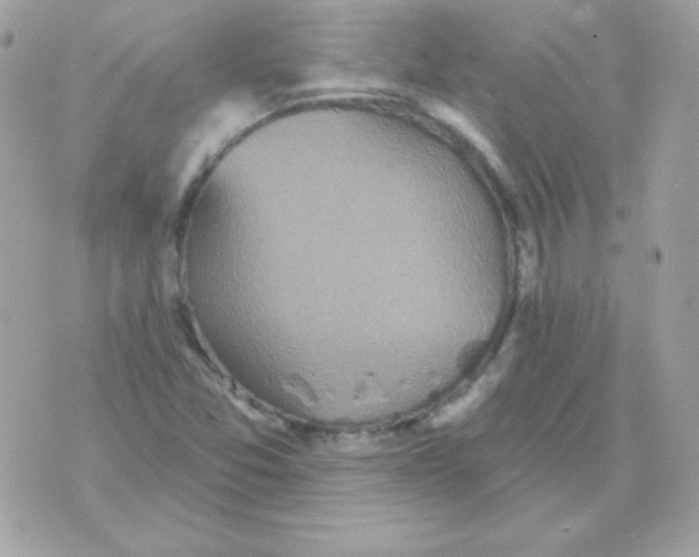 X0000070361357200607072053