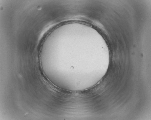 X0000070361360200607072053