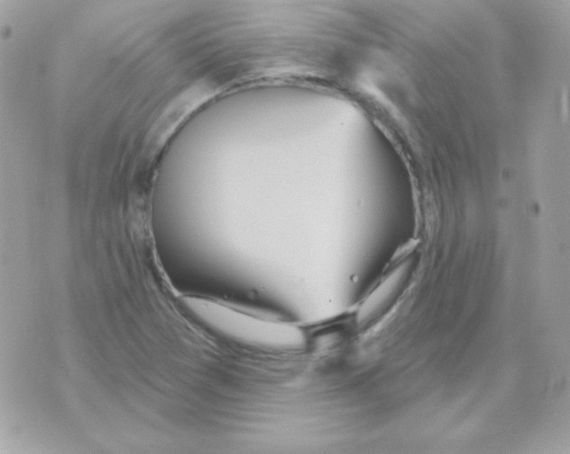 X0000070361361200607072053