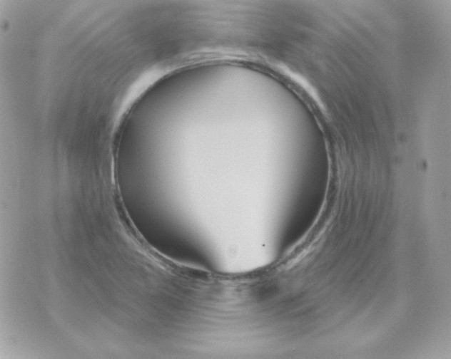 X0000070361365200607072052