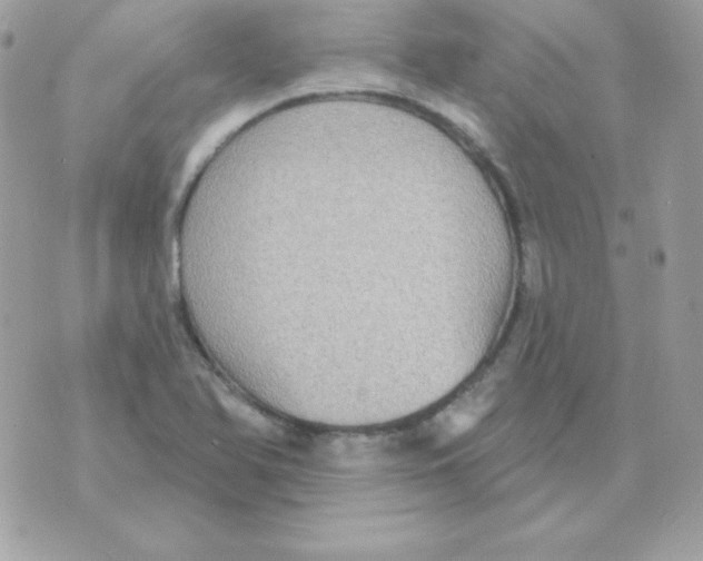 X0000070361366200607072052