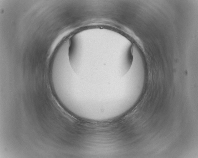 X0000070361368200607072052