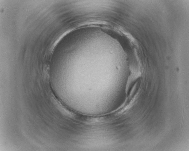 X0000070361369200607072052