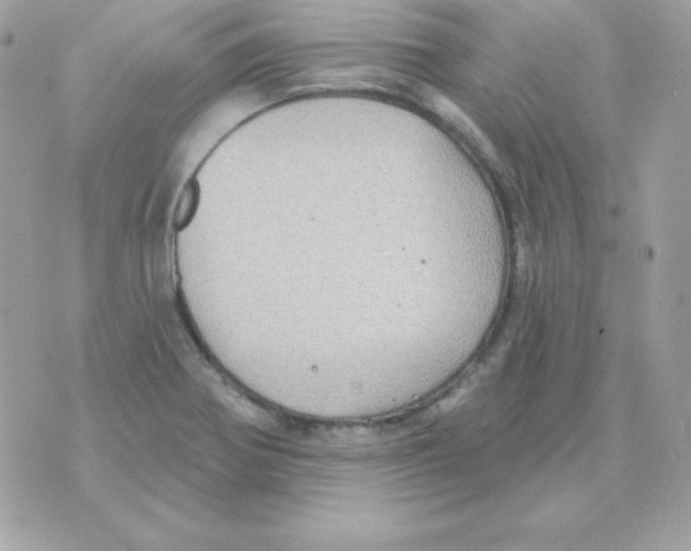 X0000070361370200607072052