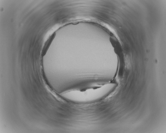 X0000070361373200607072052