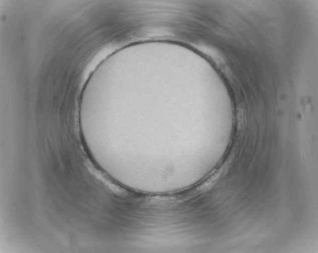 X0000070361374200607072052