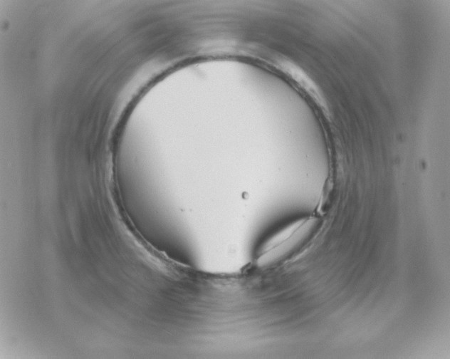 X0000070361376200607072052