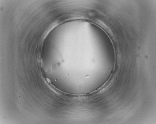 X0000070361377200607072052