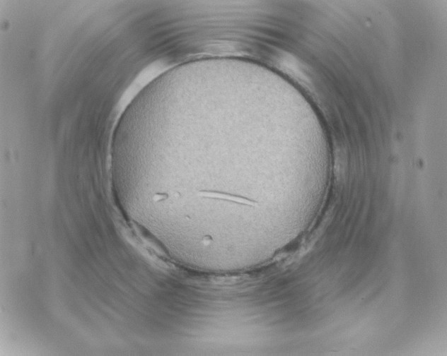 X0000070361378200607072052