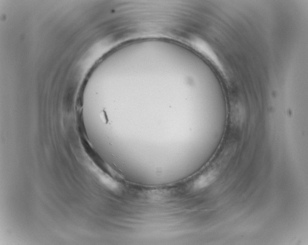 X0000070361380200607072052