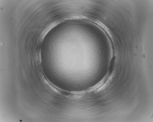 X0000070361385200607072052