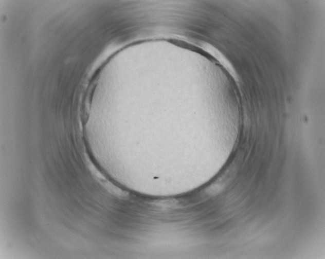 X0000070361388200607072052