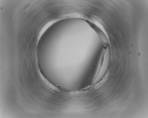 X0000070361389200607072052