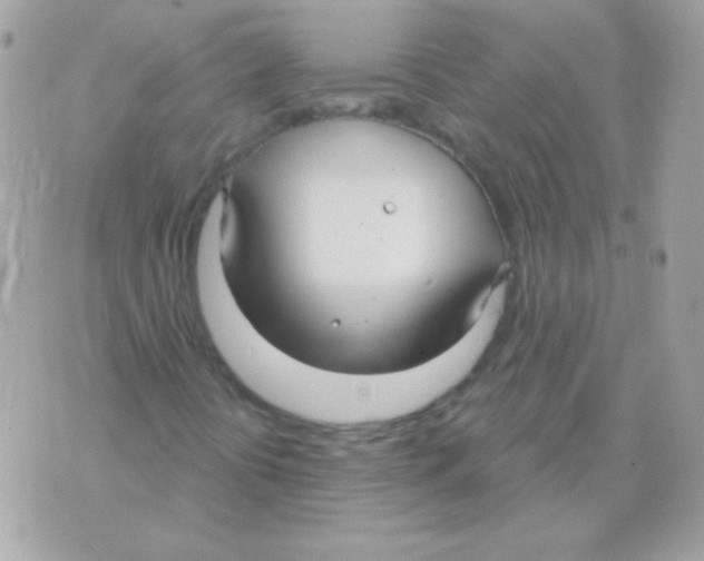 X0000070361394200607072051