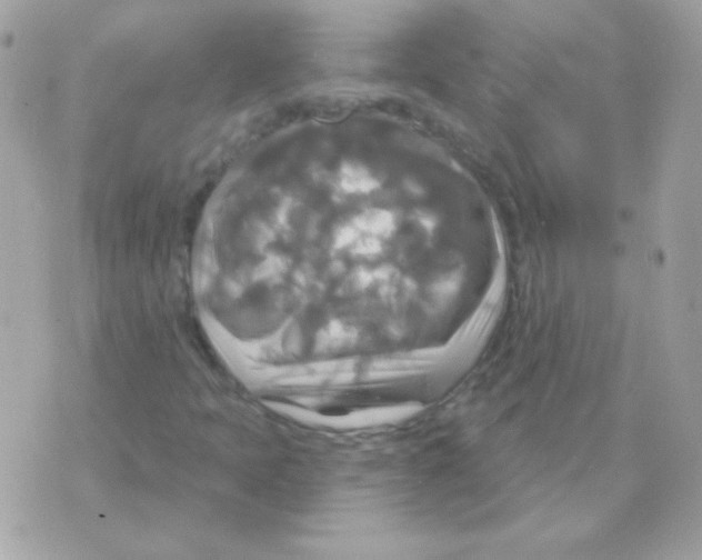 X0000070361397200607072051