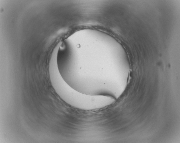 X0000070361398200607072051