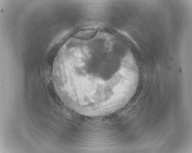 X0000070361399200607072051