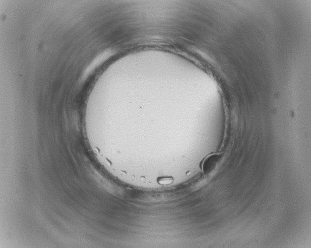 X0000070361402200607072051