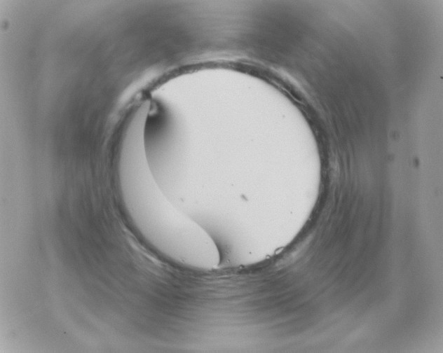 X0000070361406200607072051