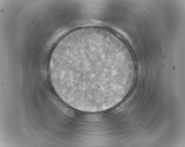 X0000070361407200607072051