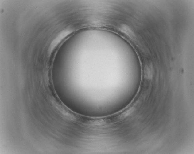 X0000070361410200607072052