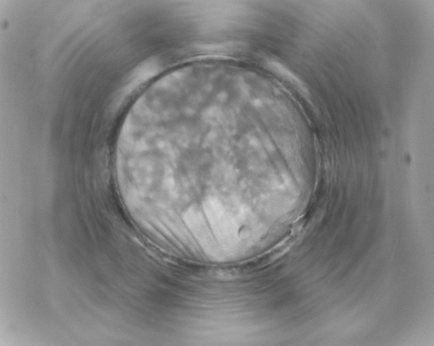 X0000070361411200607072052