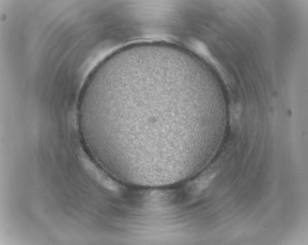 X0000070361412200607072052