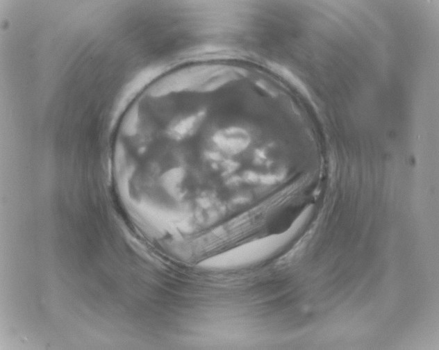 X0000070361413200607072052