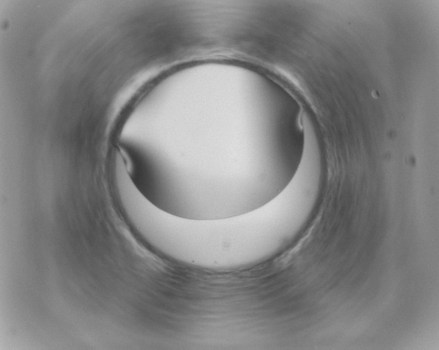 X0000070361414200607072052