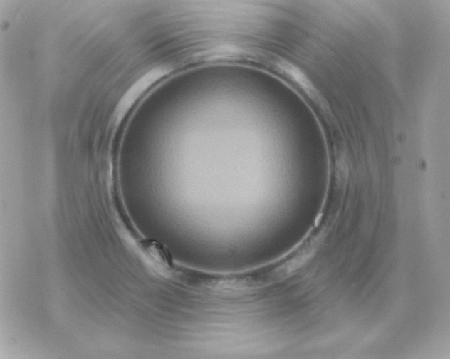 X0000070361418200607072052