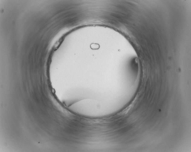 X0000070361422200607072052